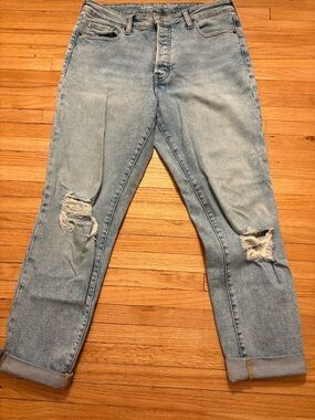 Light Washed Distressed Women’s High Rise O.G Straight Jeans (in long)